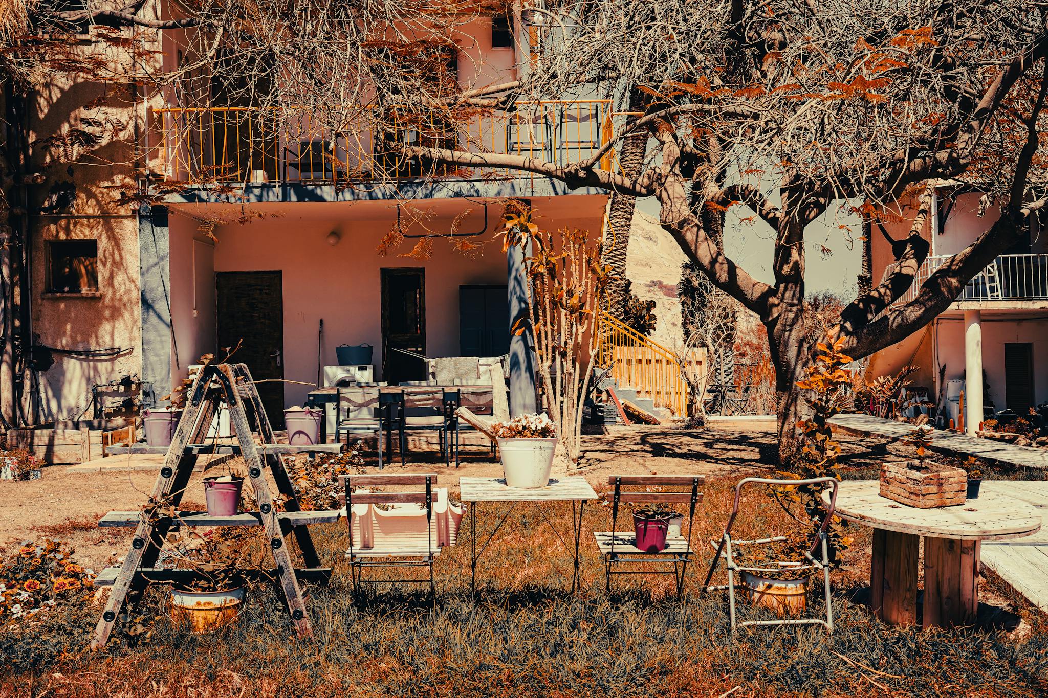 A backyard with outdoor furniture, potted plants, and a large leafless tree in front of a two-story building.