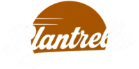 Plantrella logo dark mode. white text dark orange sun