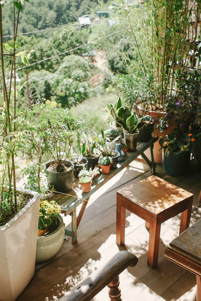 A serene balcony garden with diverse potted plants basking in warm sunlight, creating a peaceful outdoor retreat.