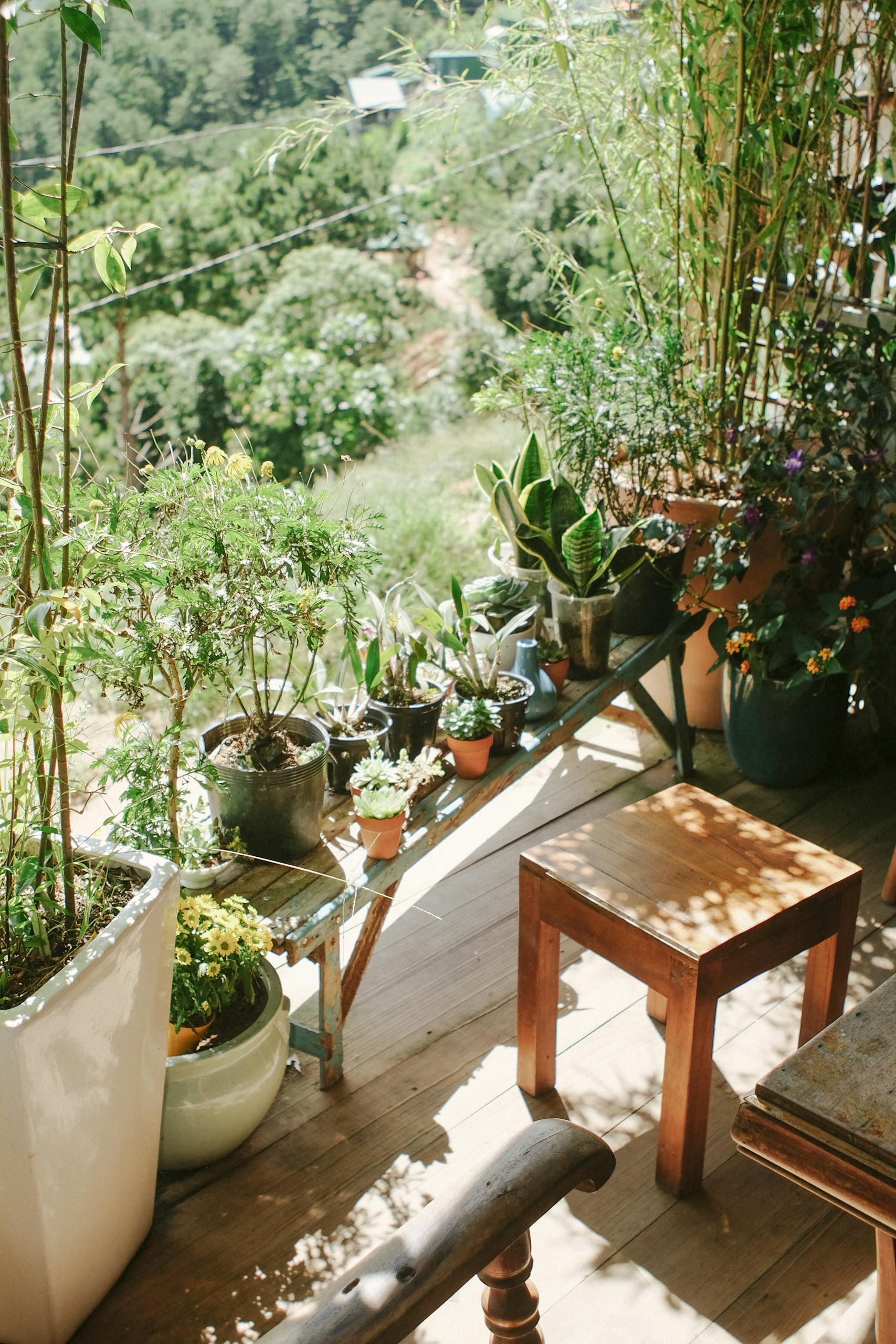A serene balcony garden with diverse potted plants basking in warm sunlight, creating a peaceful outdoor retreat.