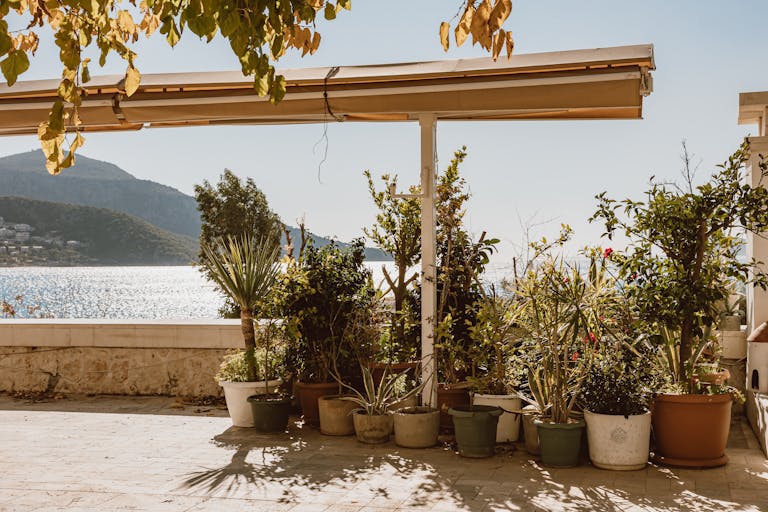 A scenic terrace with potted plants overlooking the ocean under bright sunlight, ideal for relaxation. Plantrella.com