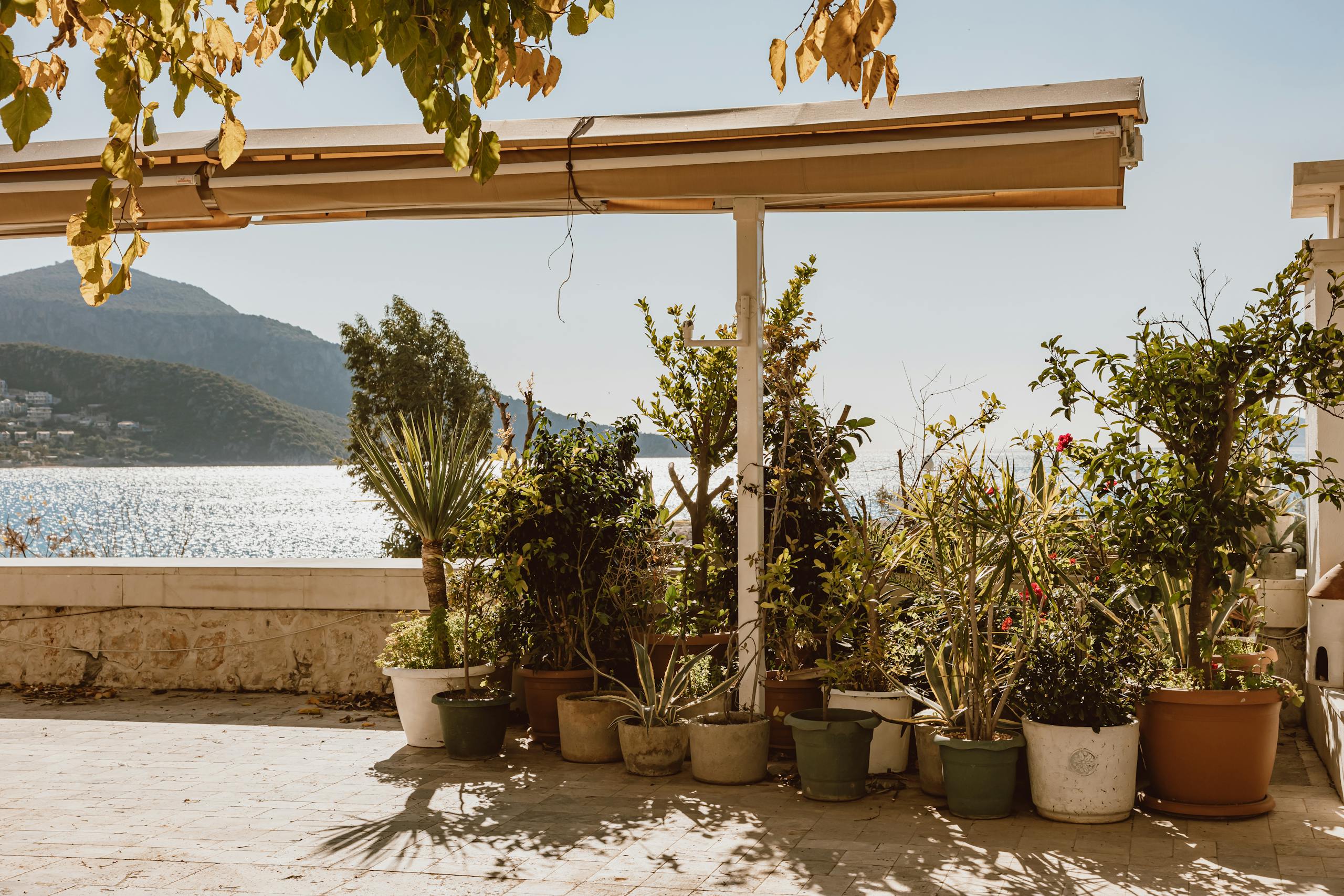 A scenic terrace with potted plants overlooking the ocean under bright sunlight, ideal for relaxation. Plantrella.com
