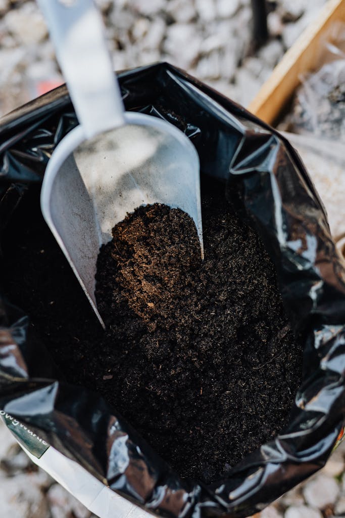 Garden trowel scooping soil from a black plastic bag, ideal for home gardening projects. plantrella.com