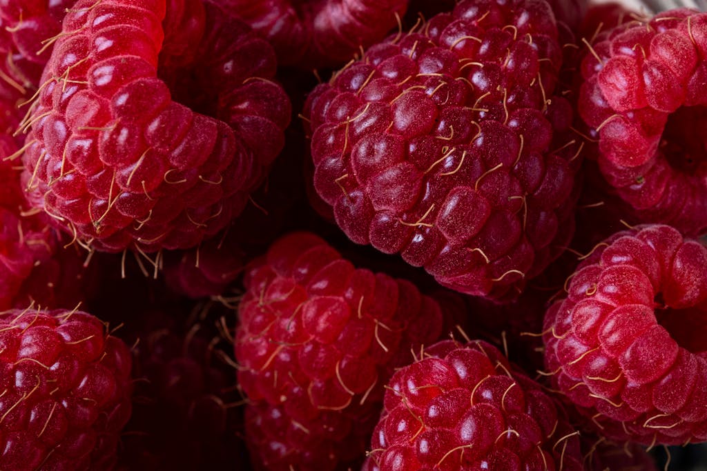 Macro shot of juicy red raspberries highlighting their vibrant color and texture.