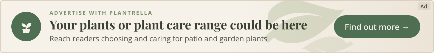 Advertise your plants or plant care products to Plantrella readers – see ad prices